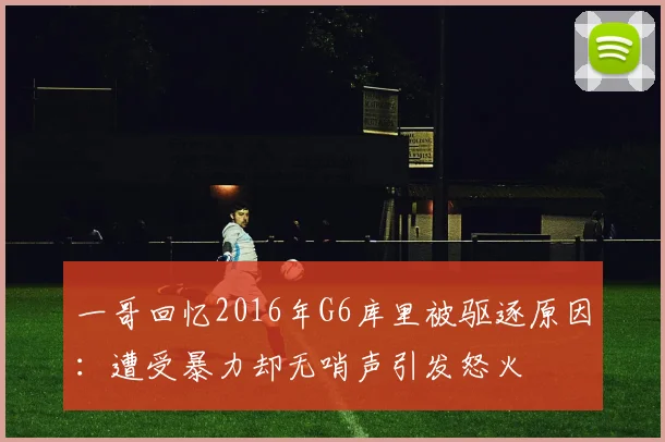一哥回忆2016年G6库里被驱逐原因：遭受暴力却无哨声引发怒火
