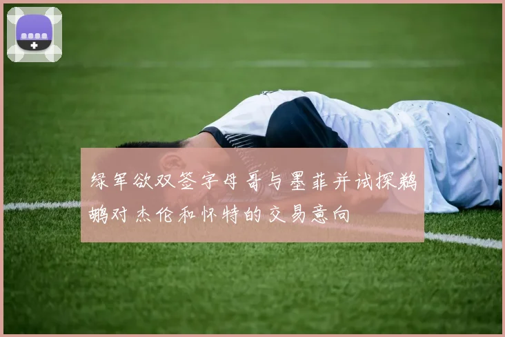 绿军欲双签字母哥与墨菲并试探鹈鹕对杰伦和怀特的交易意向